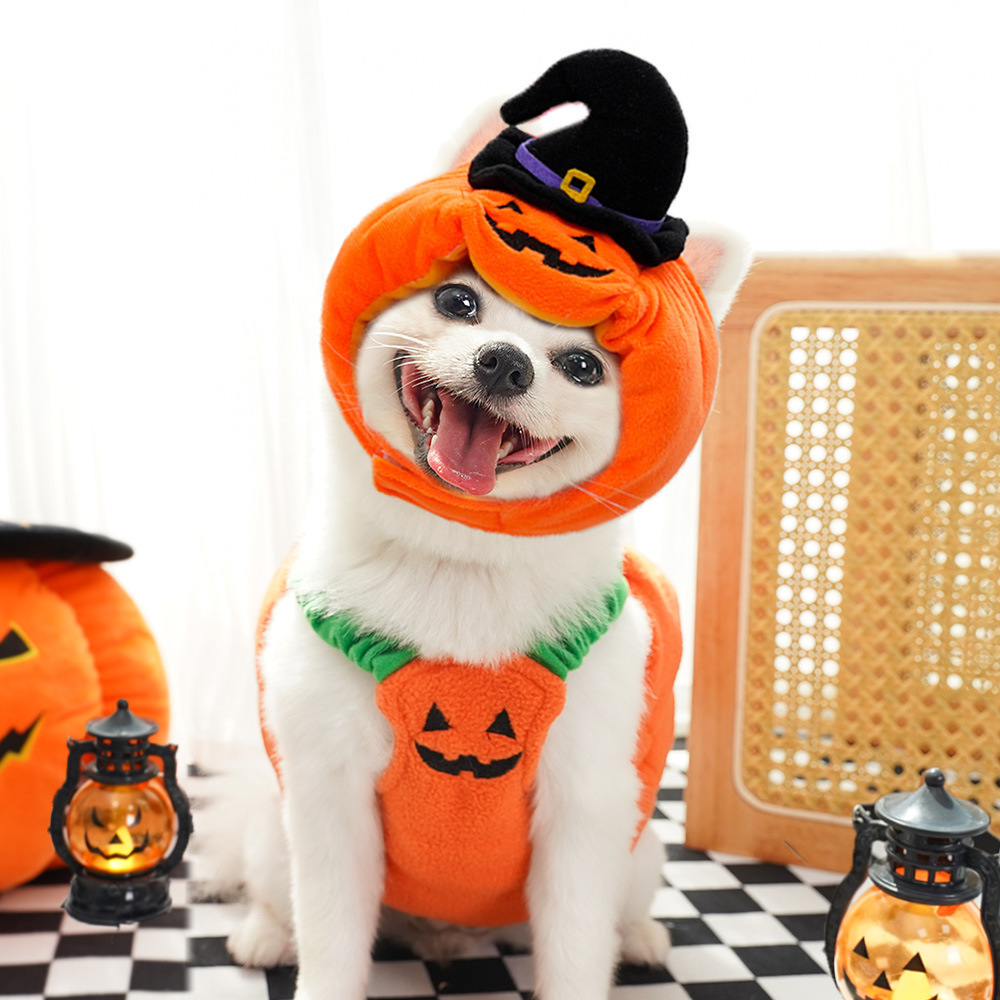 Pumpkin Pet Vest - Image 7