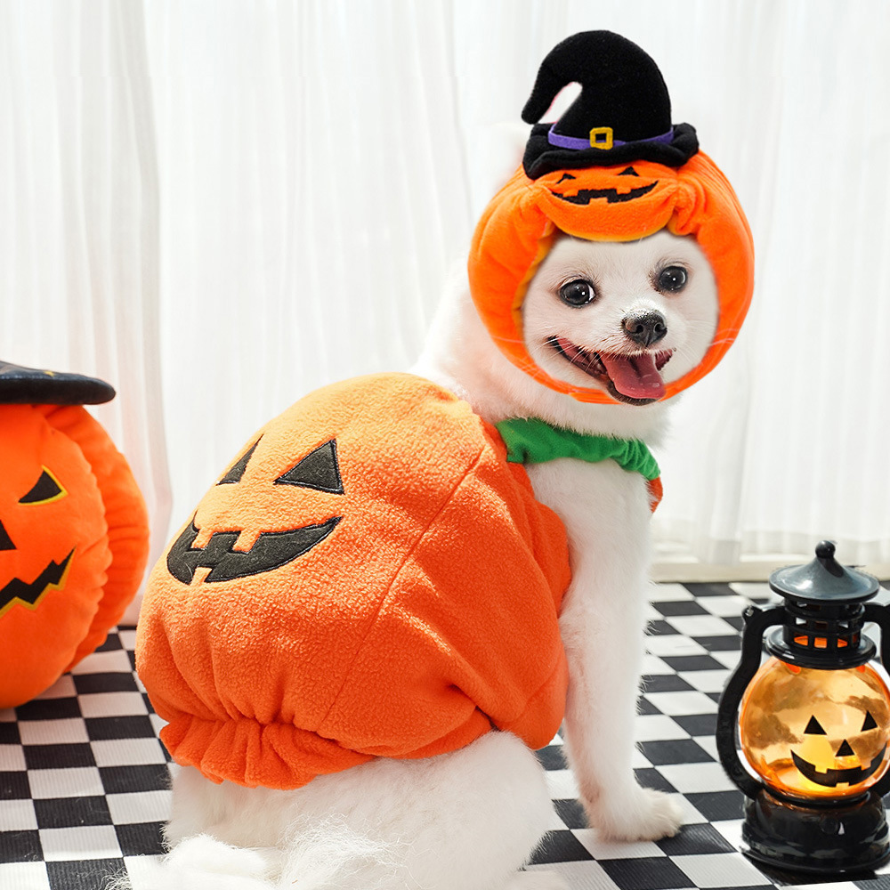 Pumpkin Pet Vest - Image 8