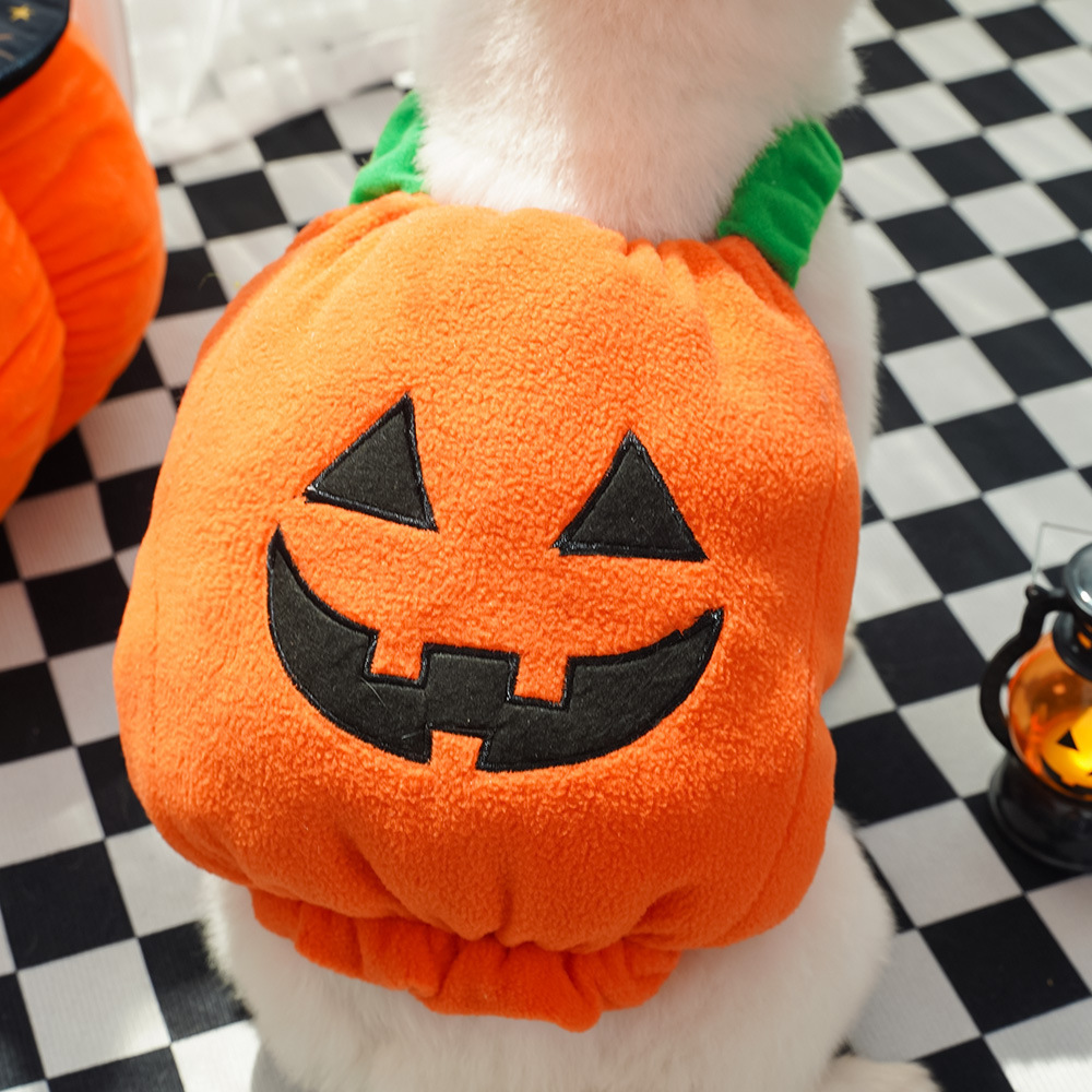 Pumpkin Pet Vest - Image 9