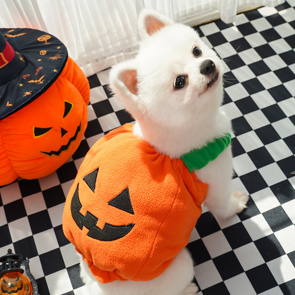Pumpkin Pet Vest - Image 5