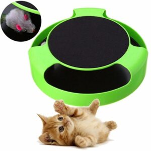 Automatic Cat Toy